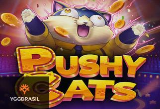 Pushy Cats